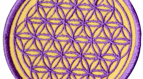 flower_of_life8.png